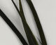 Preview image of product Stripped Goose Biots Olive #263