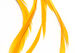 Preview image of product Stripped Goose Biots Sunburst Yellow #368