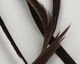 Preview image of product Stripped Goose Biots Brown #40