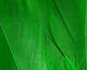 Preview image of product Select Goose Shoulder Green #169