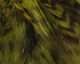 Preview image of product Strung 4-6 inch Grizzly Variant Saddle Hackle Olive #263