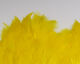 Preview image of product Soft Hackle Marabou Patch #383 Yellow
