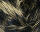 Preview image of product Shimmer Rabbit Strips #2 Black with Gold Shimmer