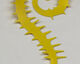Preview image of product Spiked Large 1/0 and Up Sr Tail #383 Yellow