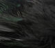 Preview image of product Strung Ringneck Rump Feathers Black #11