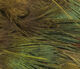 Preview image of product Strung Ringneck Rump Feathers Olive #263