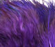 Preview image of product Strung Ringneck Rump Feathers Purple #298