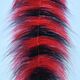 Preview image of product Sommerlatte's Blend Foxy Brush 3 Inch Wide Black/Red