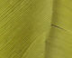 Preview image of product Turkey Biot Quills Lt Olive #212