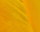 Preview image of product UV2 Turkey Biot Yellow #075
