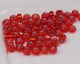 Preview image of product Tyers Glass Beads Large S/L Red