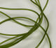 Preview image of product Midge Tubing #263 Olive