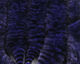 Preview image of product Mangum's Variegated Mini Tail UV2 Treated #3 Black Purple