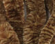 Preview image of product Mangum's Variegated Mini Tail UV2 Treated #8 Brown Tan