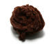 Preview image of product Woolly Bugger Tinsel Core UV Rayon Chenille Chocolate Brown #59
