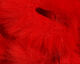 Preview image of product Extra Select Craft Bunny Strip #310 Red