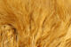 Preview image of product X-Select Marabou Ginger #149