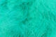 Preview image of product X-Select Marabou Whitlock's Turquoise #373
