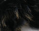 Preview image of product Crosscut Shimmer Rabbit Strips #2 Black with Gold Shimmer