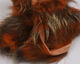 Preview image of product Crosscut Shimmer Rabbit Strips #4 Crawfish Orange with Gold Shimmer