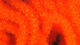 Preview image of product Large Trilobal Antron Chenille #187 Hot Orange 