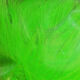 Preview image of product Arctic Fox Hair #184 Highlander Green