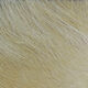 Preview image of product Arctic Fox Hair #369 Tan 