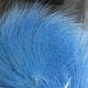 Preview image of product Arctic Fox Tail Hair #199 Kingfisher Blue