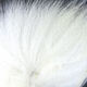 Preview image of product Arctic Fox Tail Hair #377 White