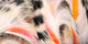 Preview image of product Micro Black Barred Groovy Bunny Strips #4 Fl Pnk-Orange-White