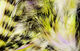 Preview image of product Black Barred Groovy Bunny Strips #7 Yellow Chartreuse-Purple-White