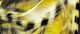 Preview image of product Micro Black Barred Groovy Bunny Strips #9 Yellow-Tan-White