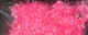 Preview image of product Estaz Medium 15mm Pearl Hot Pink #097