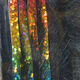 Preview image of product Magnum Bling Rabbit Strips Black with Holo Rainbow Accent #MBLS11H