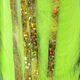 Preview image of product Bling Rabbit Strips Chartreuse with Holo Gold Accent #BLS54G