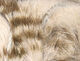 Preview image of product Brown Barred Magnum Rabbit Strips #123B Flesh