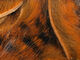 Preview image of product Black Barred Magnum Rabbit Strips #19 Crawfish Orange