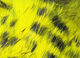 Preview image of product Black Barred Magnum Rabbit Strips #383Bl Yellow