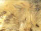 Preview image of product Brown Barred Rabbit Strips #149 Ginger