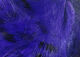 Preview image of product Black Barred Rabbit Strips #35 Bright Purple