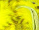Preview image of product Brown Barred Rabbit Strips #383B Yellow
