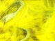 Preview image of product Olive Barred Rabbit Strips #383O Yellow