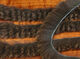 Preview image of product Black Barred Squabbit Strips