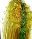 Preview image of product Big Fly Fiber W/Curl Golden Olive