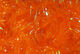 Preview image of product Cactus Chenille Large Hot Orange #187