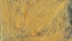 Preview image of product UV2 Select CDC Light Brown #005