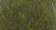 Preview image of product UV2 Select CDC Medium Olive #032