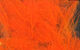 Preview image of product UV2 Select CDC Fluorescent Orange #131