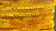 Preview image of product Chenille Medium Ginger #149