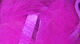 Preview image of product Crosscut Rabbit Strips Fluorescent Fuchsia #10